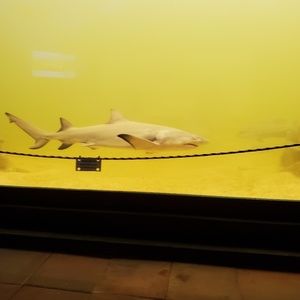 Meet your Posher, Robin